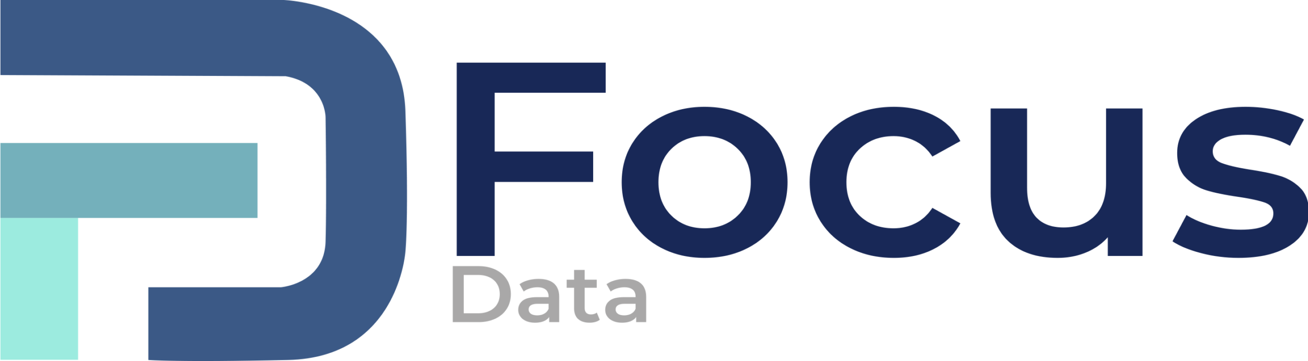 focusdata.nomadadigital.mx